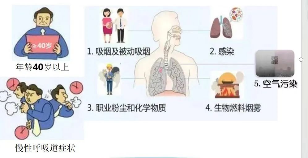 肺功能檢查圖片2.jpg
