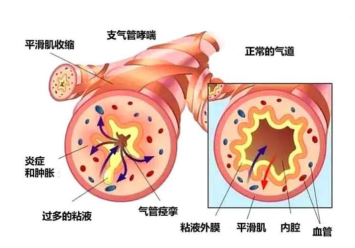圖片1.jpg